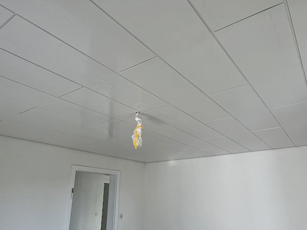 Lackieren einer Holzdecke